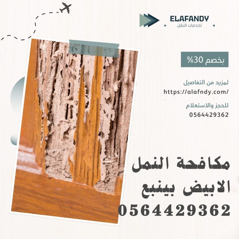 مكافحة النمل الابيض بينبع